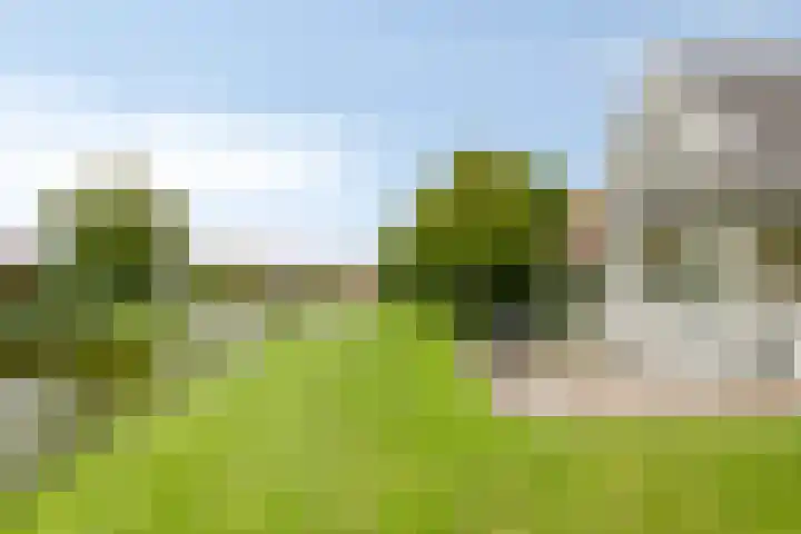 Groeneweg 1 0042 Bruinisse thumbnail 24