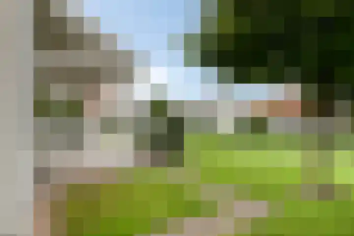 Groeneweg 1 0042 Bruinisse thumbnail 29