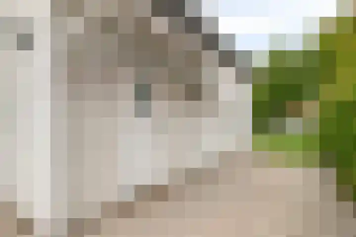 Groeneweg 1 0042 Bruinisse thumbnail 4