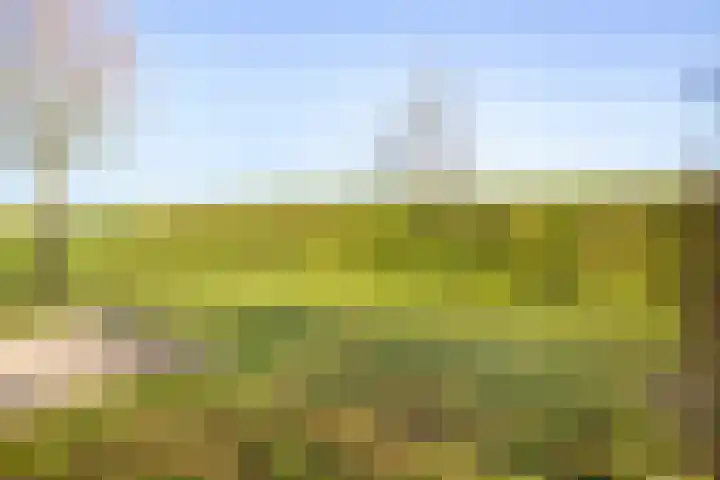 Groeneweg 1 0054 Bruinisse thumbnail 30