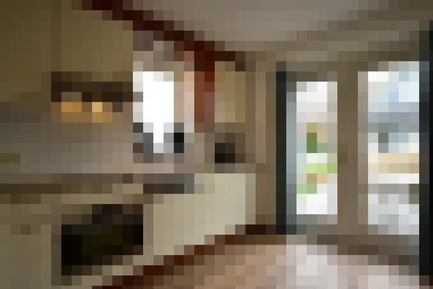 Groeneweg 1 0108 Bruinisse thumbnail 8
