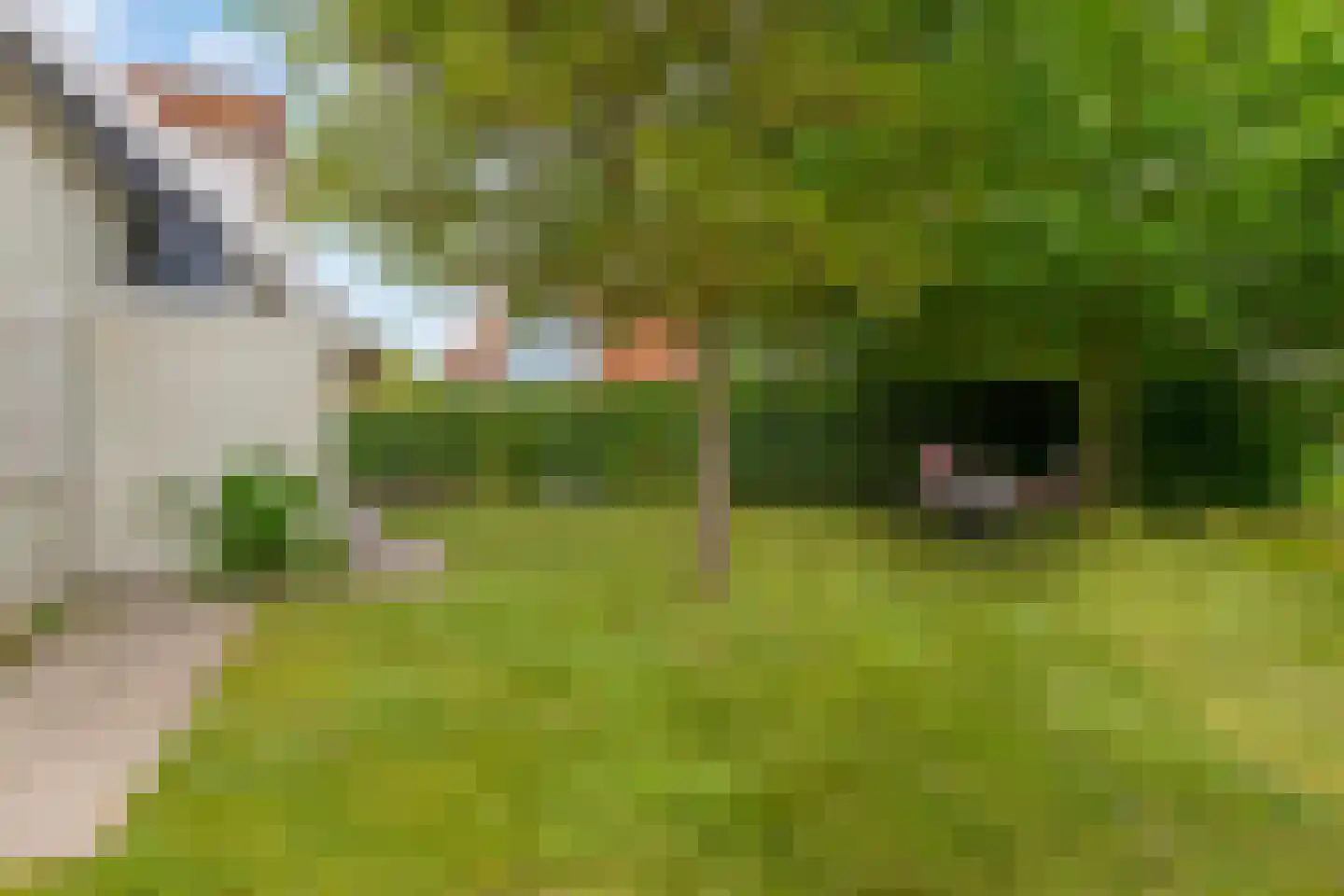 Groeneweg 1 0109 Bruinisse thumbnail 45