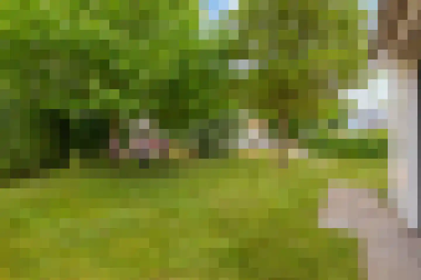 Groeneweg 1 0109 Bruinisse thumbnail 46