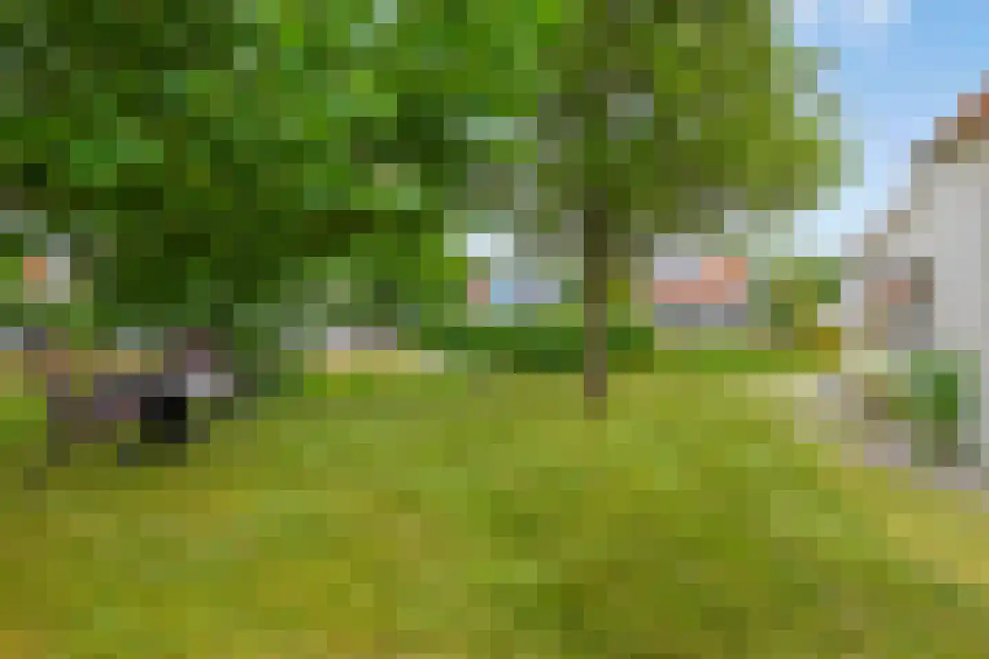 Groeneweg 1 0109 Bruinisse thumbnail 47