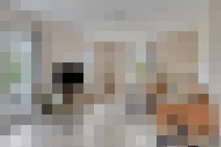 Groeneweg 1 0122 Bruinisse thumbnail 10