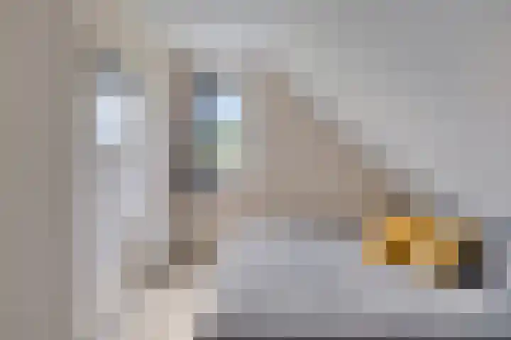 Groeneweg 1 0122 Bruinisse thumbnail 19