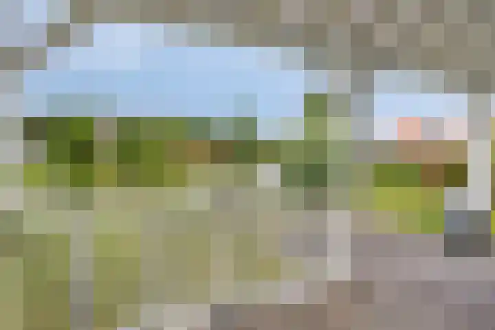 Groeneweg 1 0122 Bruinisse thumbnail 24