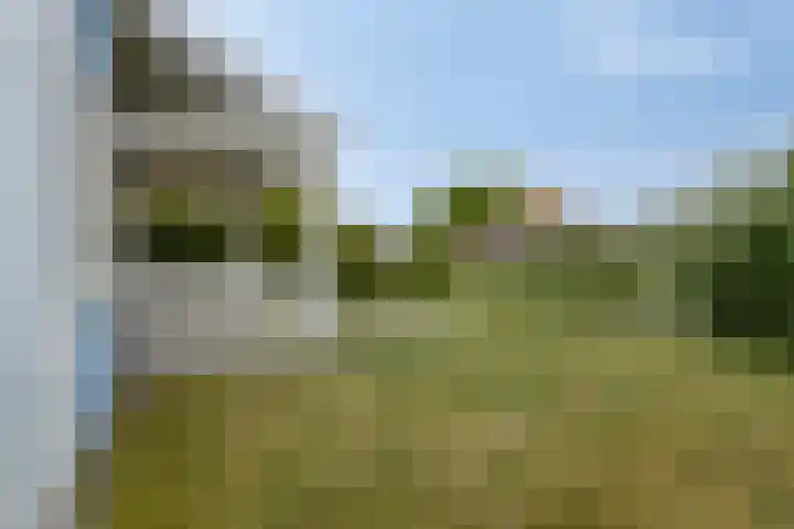Groeneweg 1 0122 Bruinisse thumbnail 25