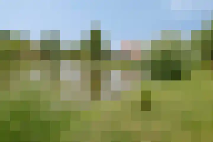 Groeneweg 1 0122 Bruinisse thumbnail 26