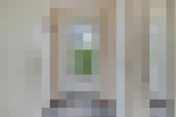 Groeneweg 1 0122 Bruinisse thumbnail 4