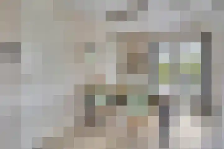 Groeneweg 1 0122 Bruinisse thumbnail 6