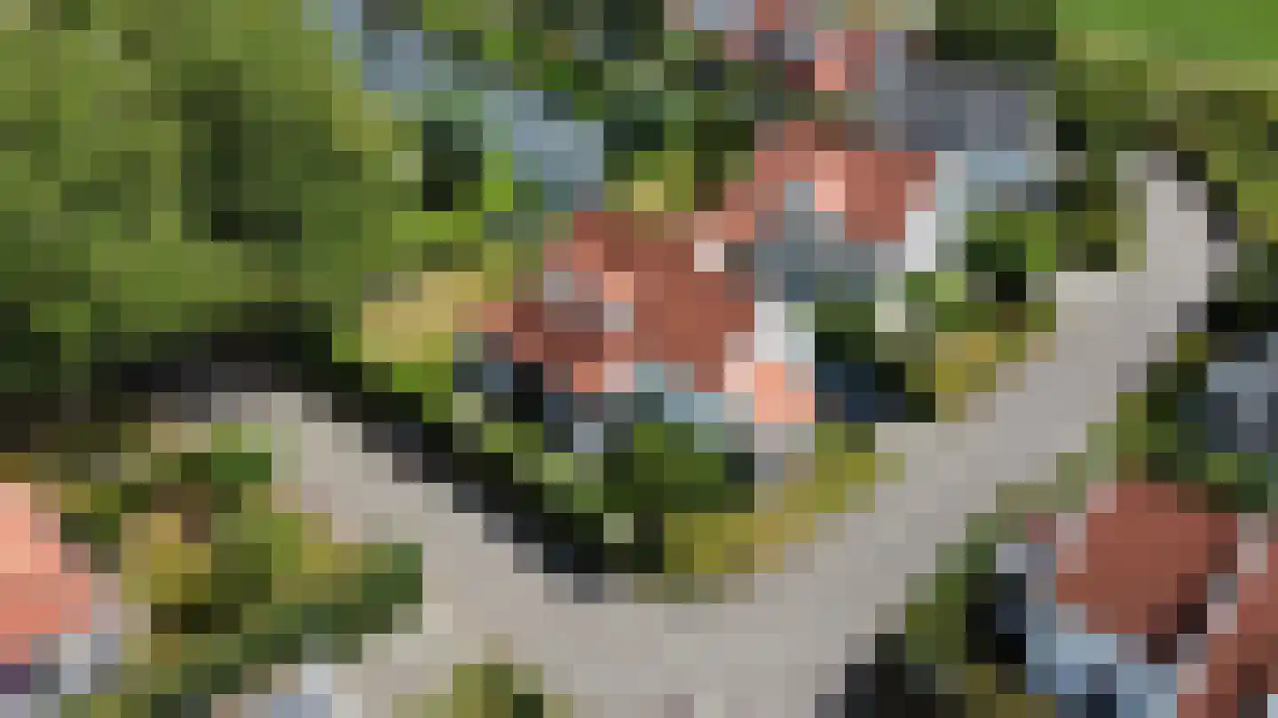 Groeneweg 1 0128 Bruinisse thumbnail 29