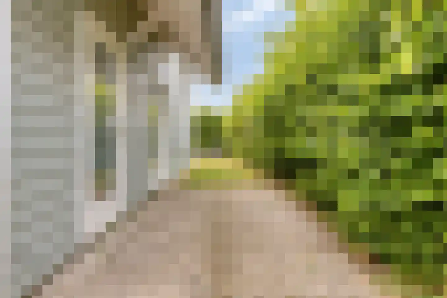 Groeneweg 1 0130 Bruinisse thumbnail 25