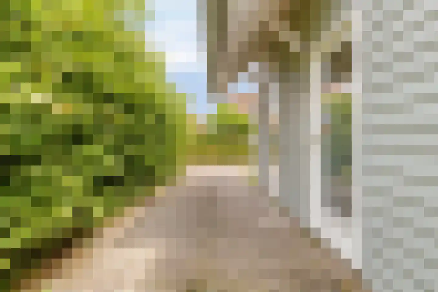 Groeneweg 1 0130 Bruinisse thumbnail 26