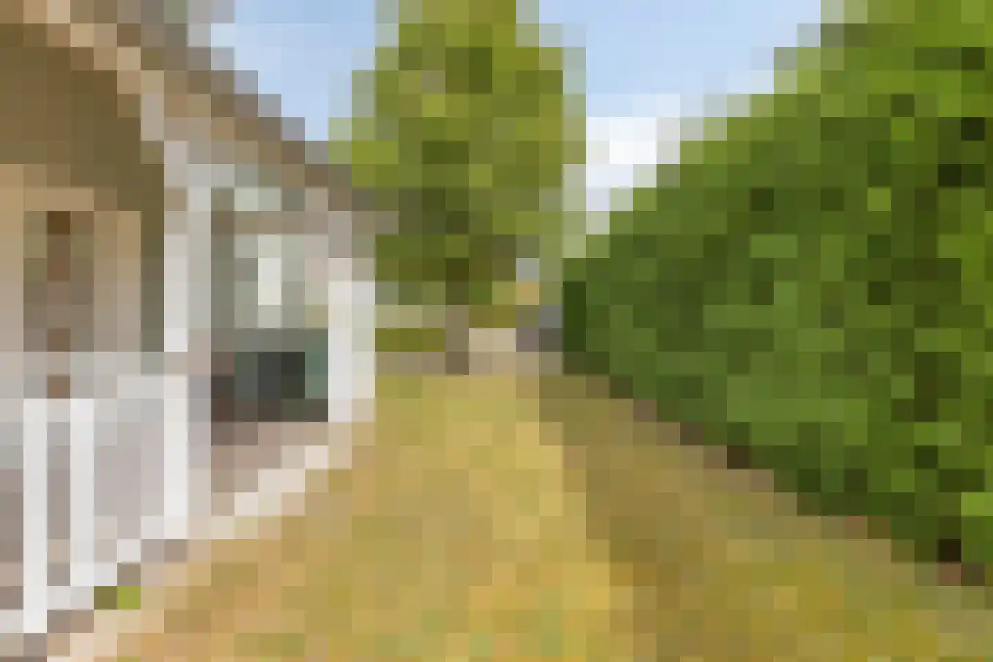 Groeneweg 1 0130 Bruinisse thumbnail 29