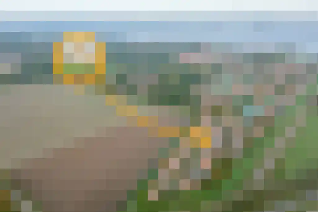 Groeneweg 1 0133 Bruinisse thumbnail 24