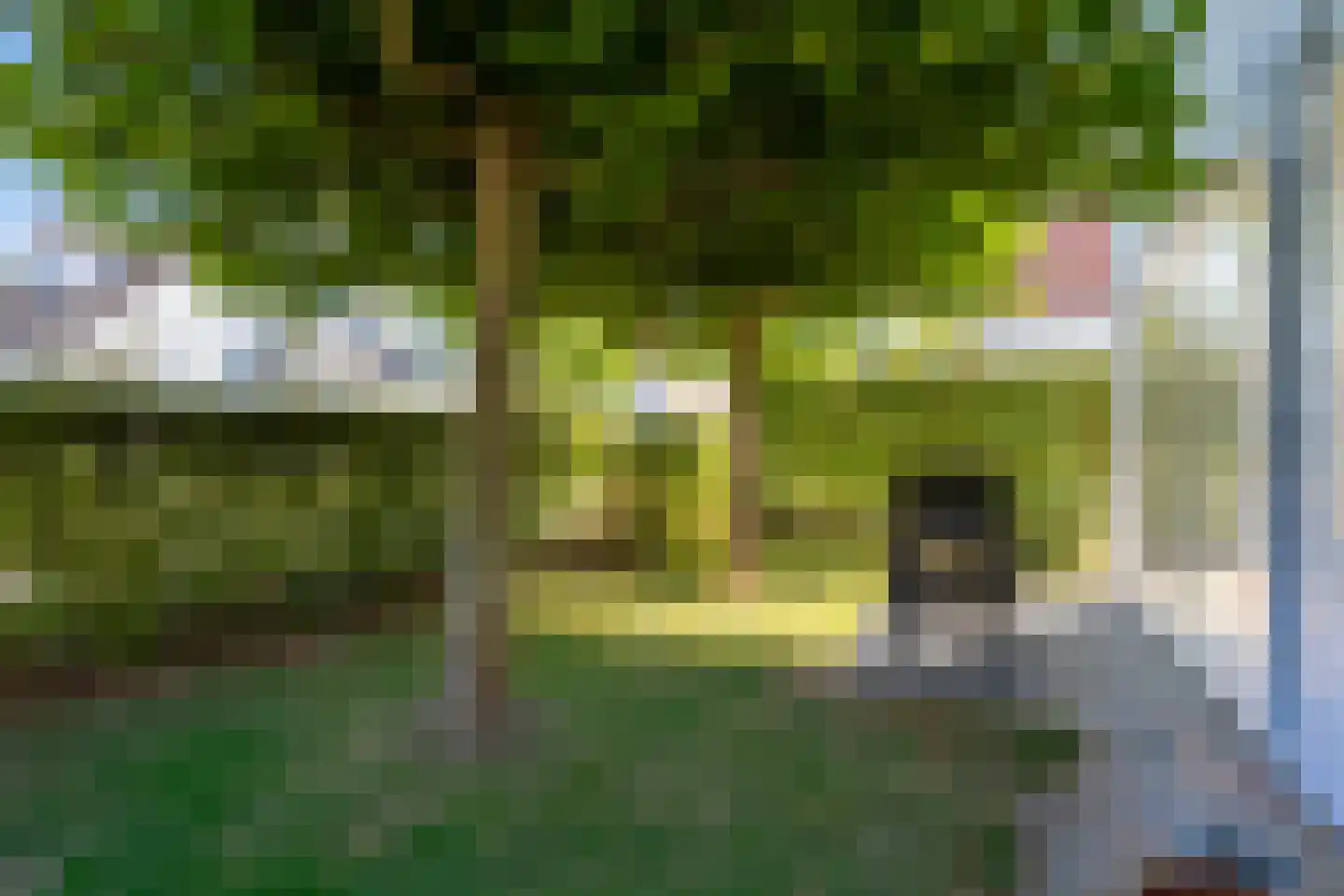 Groeneweg 1 0147 Bruinisse thumbnail 36