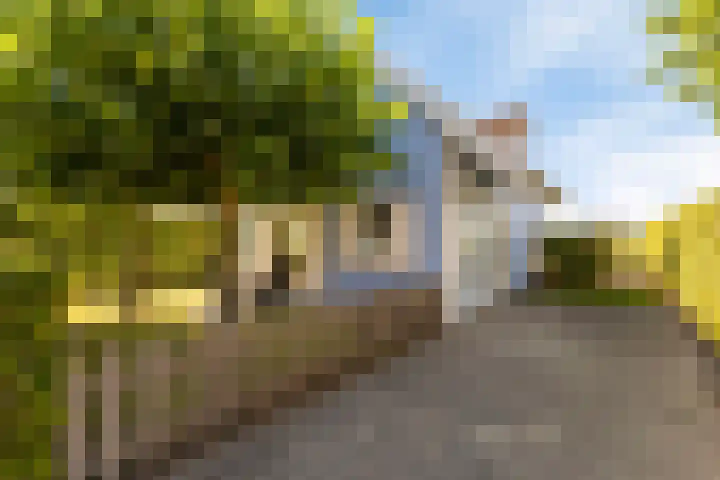 Groeneweg 1 0147 Bruinisse thumbnail 8