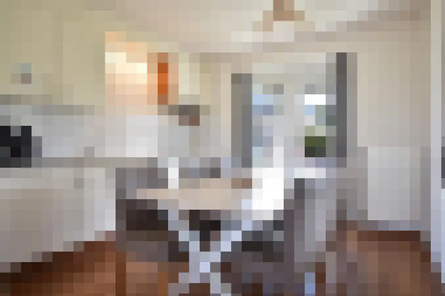 Groeneweg 1 0150 Bruinisse thumbnail 8