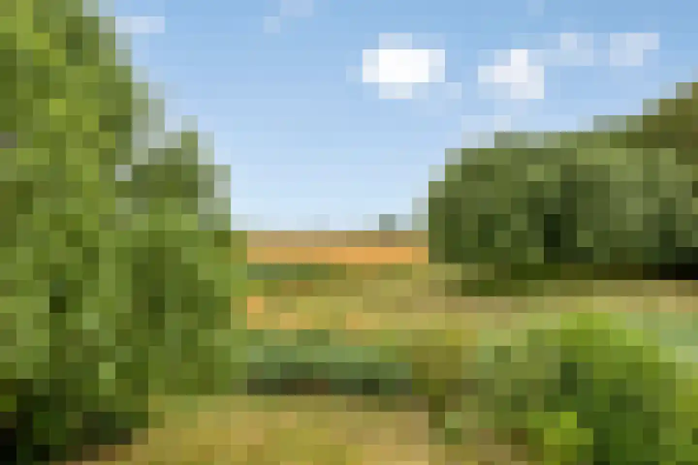 Groeneweg 1 0158 Bruinisse thumbnail 29