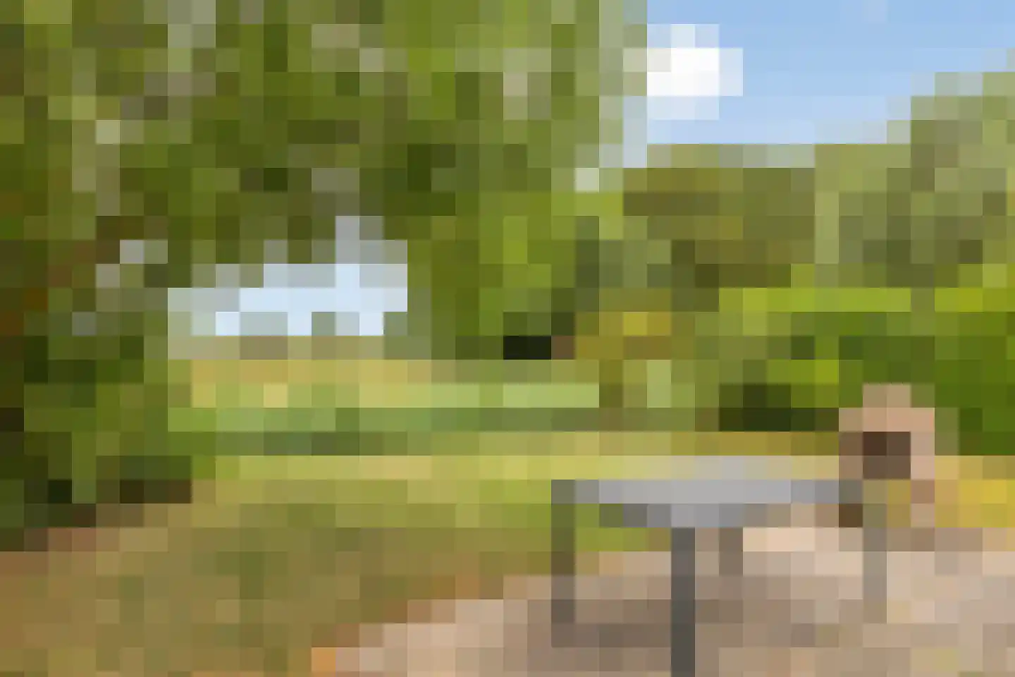 Groeneweg 1 0158 Bruinisse thumbnail 31