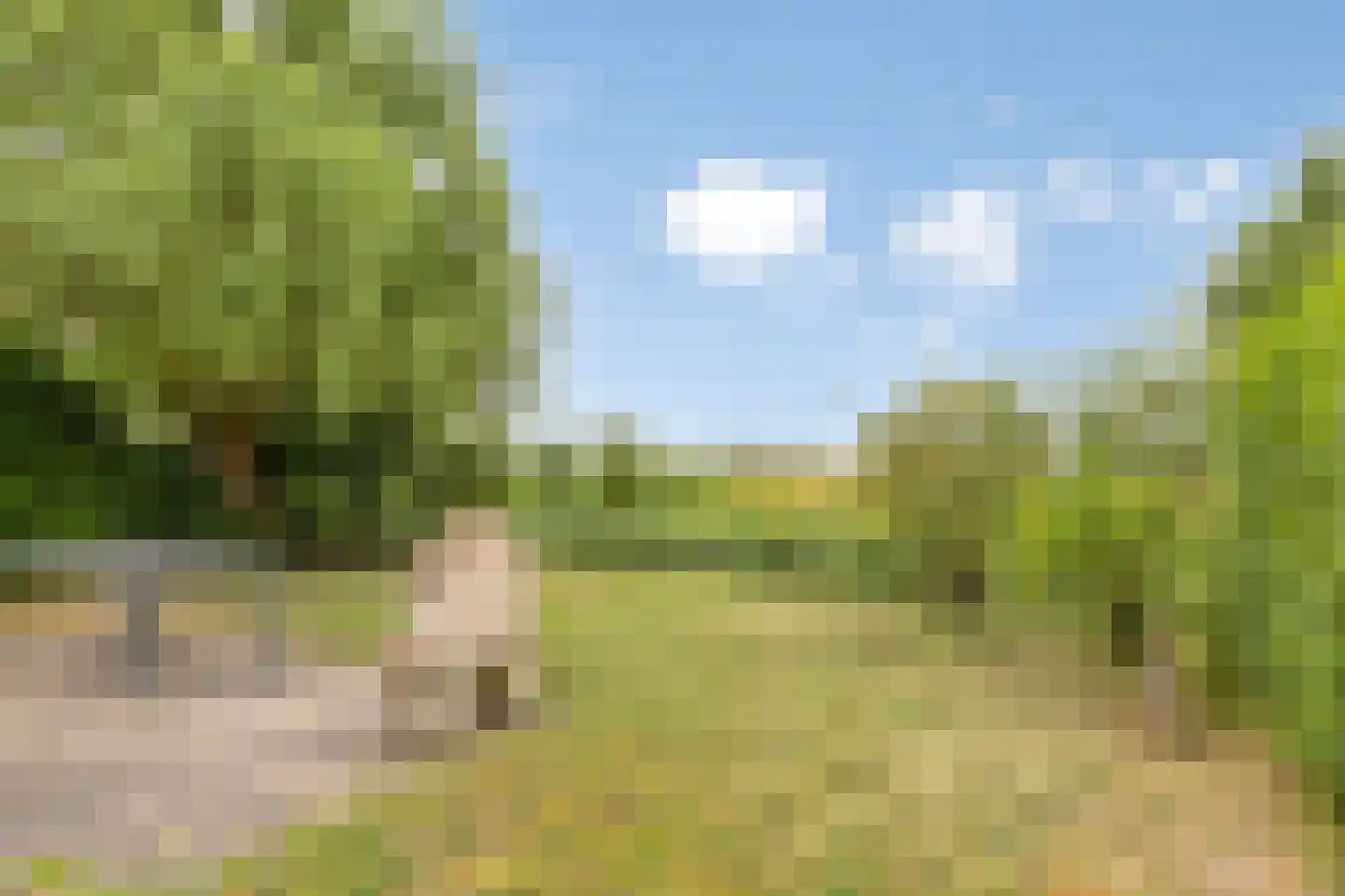 Groeneweg 1 0158 Bruinisse thumbnail 32