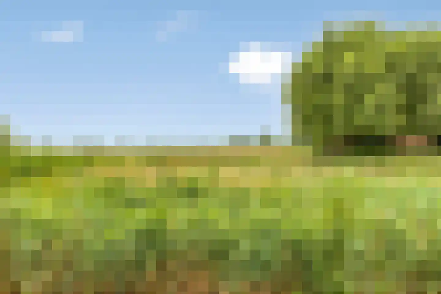 Groeneweg 1 0158 Bruinisse thumbnail 37