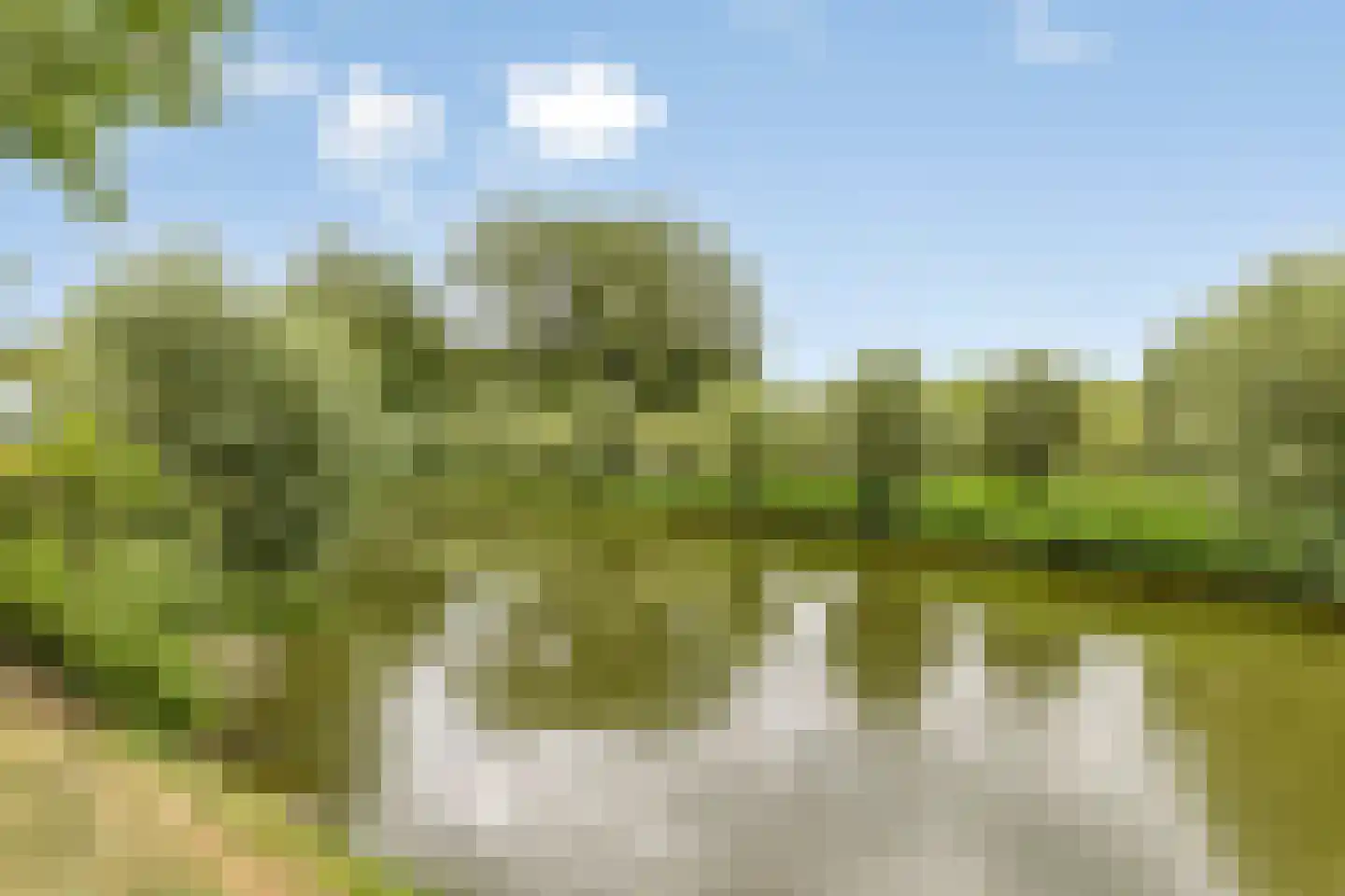 Groeneweg 1 0158 Bruinisse thumbnail 38