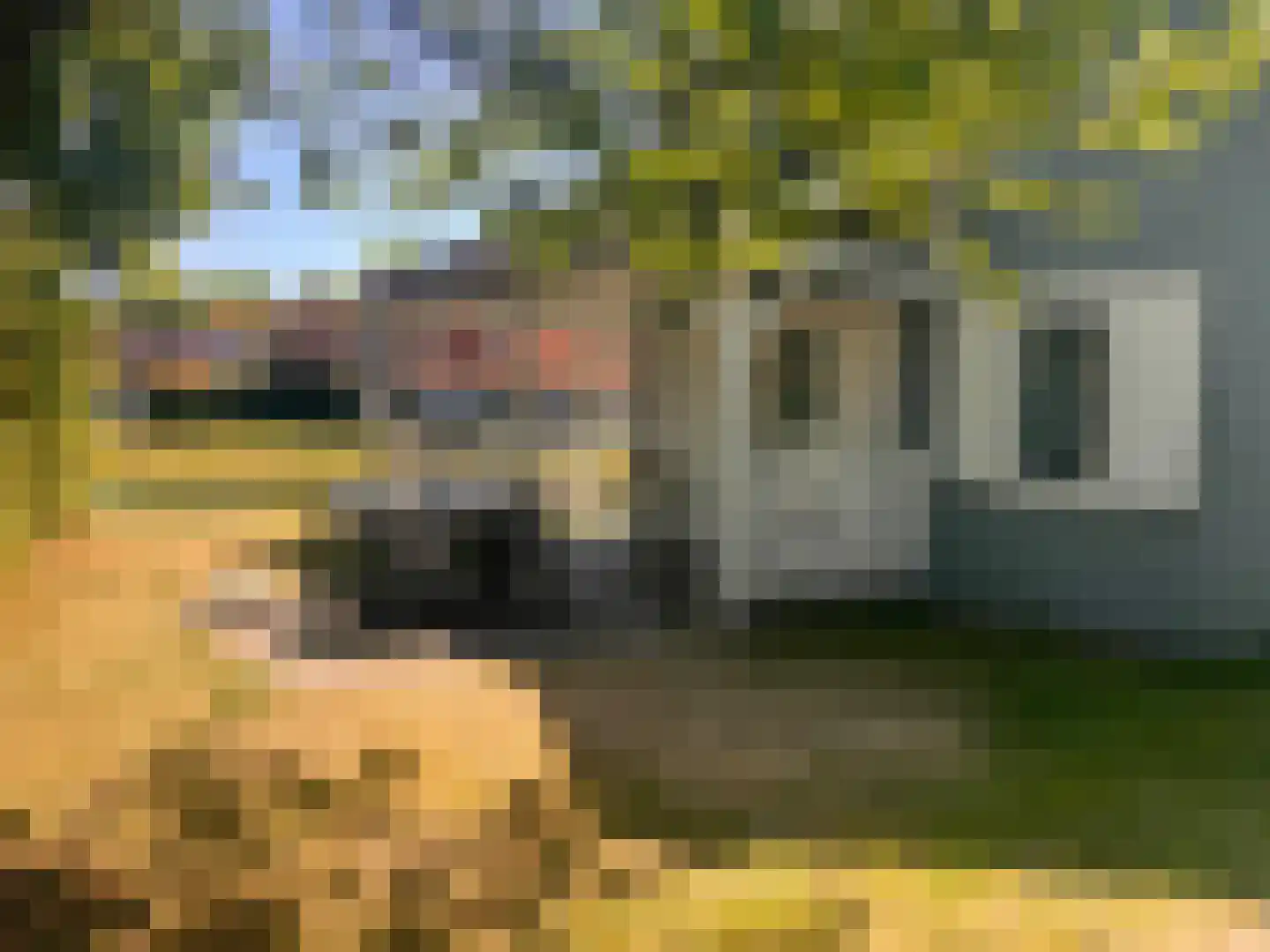 Groeneweg 1 0173 Bruinisse thumbnail 20