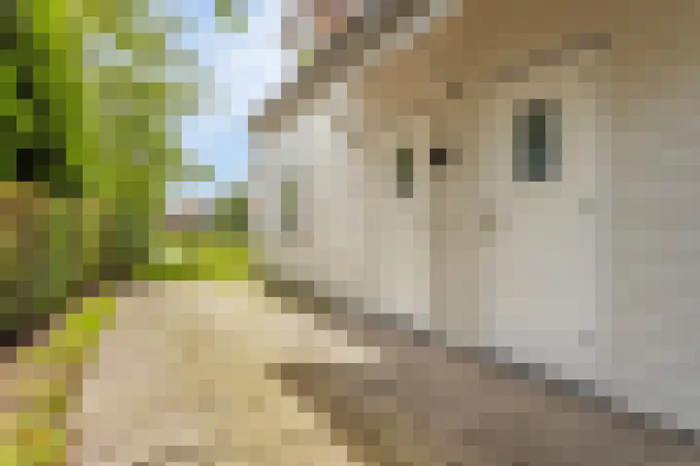 Groeneweg 1 0179 Bruinisse thumbnail 28