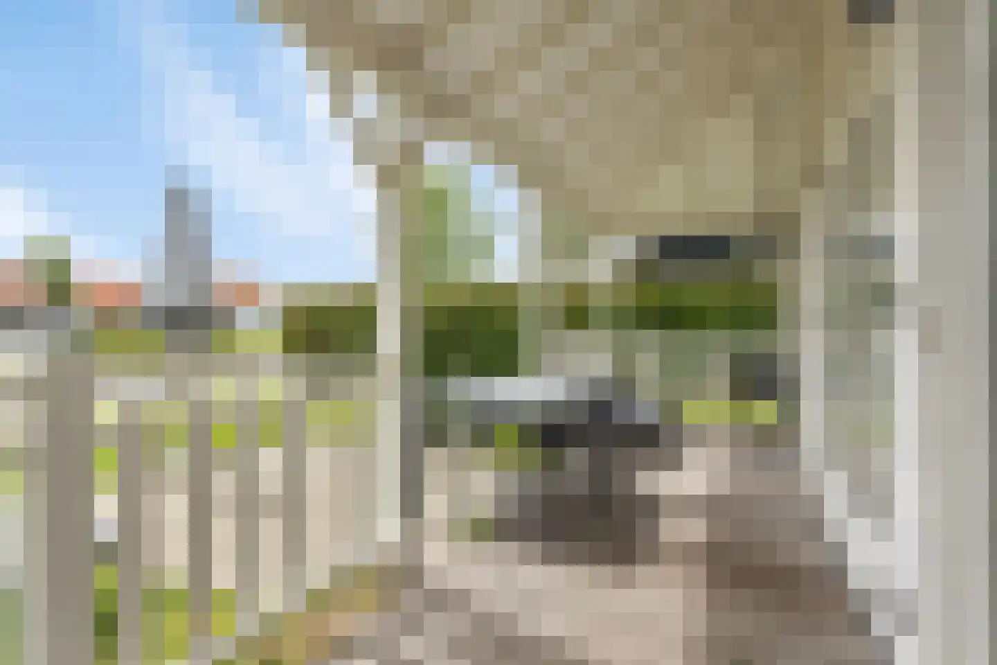 Groeneweg 1 0179 Bruinisse thumbnail 29