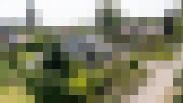 Groeneweg 1 a Zeddam thumbnail 10