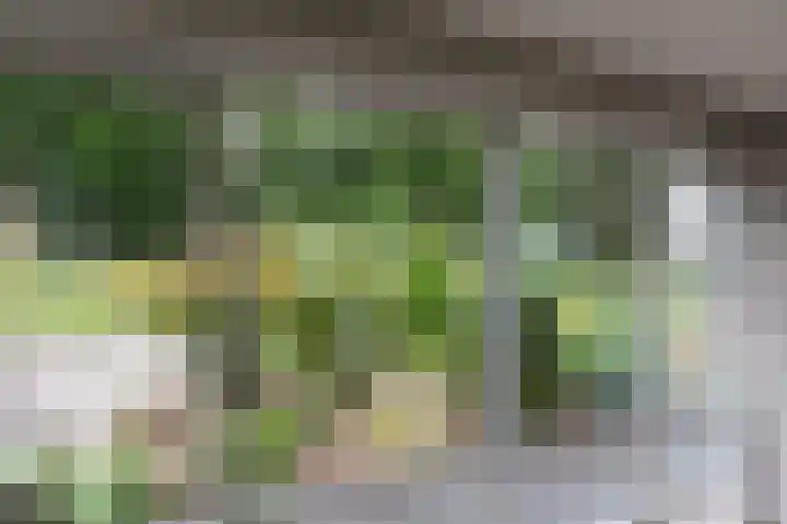 Groeneweg 1 a Zeddam thumbnail 31