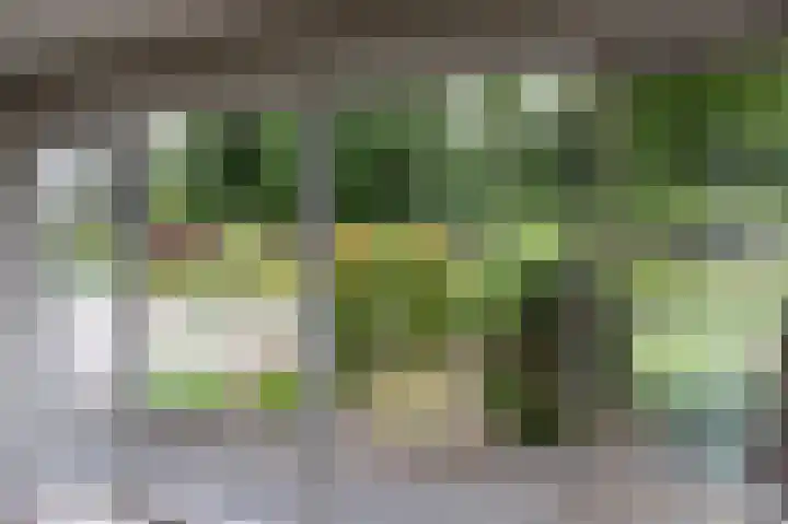 Groeneweg 1 a Zeddam thumbnail 32