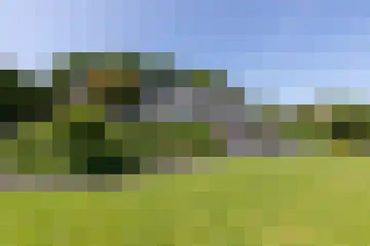 Groeneweg 1 a Zeddam thumbnail 53