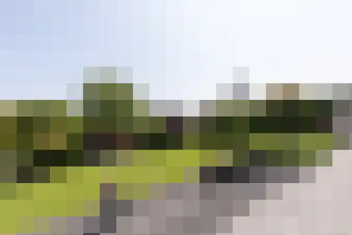 Groeneweg 1 a Zeddam thumbnail 54