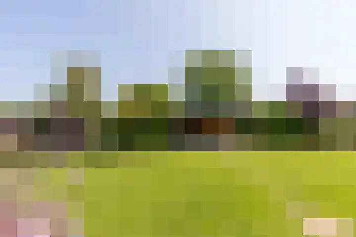 Groeneweg 1 a Zeddam thumbnail 60