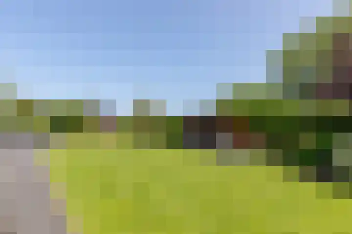 Groeneweg 1 a Zeddam thumbnail 66