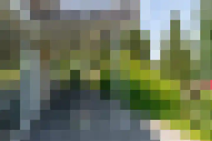 Groeneweg 1 a Zeddam thumbnail 68