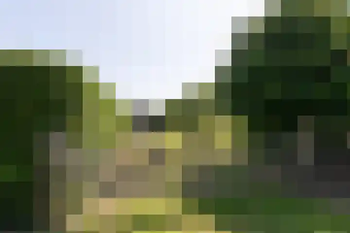 Groeneweg 1 a Zeddam thumbnail 70