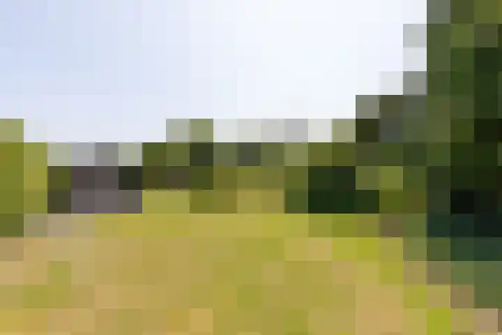 Groeneweg 1 a Zeddam thumbnail 71