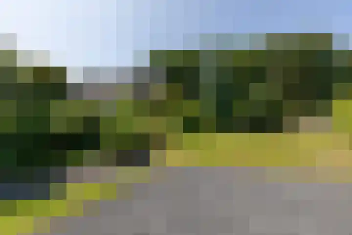 Groeneweg 1 a Zeddam thumbnail 72
