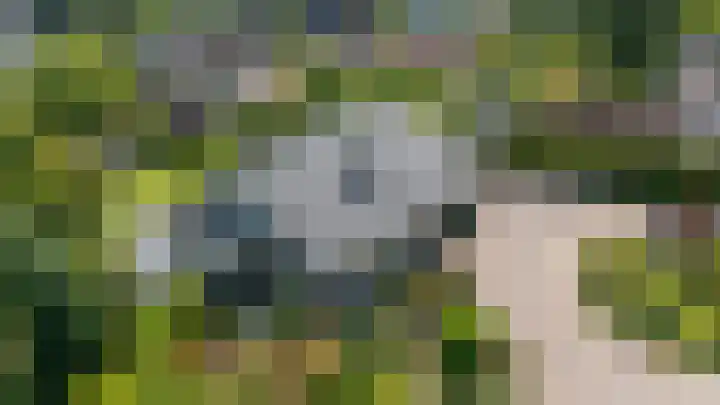 Groeneweg 1 a Zeddam thumbnail 8