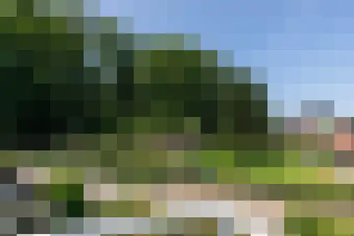 Groeneweg 1 a Zeddam thumbnail 86