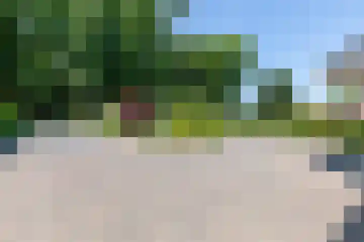 Groeneweg 1 a Zeddam thumbnail 93