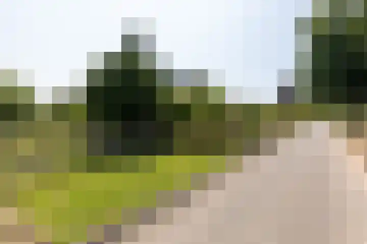 Groeneweg 1 a Zeddam thumbnail 94
