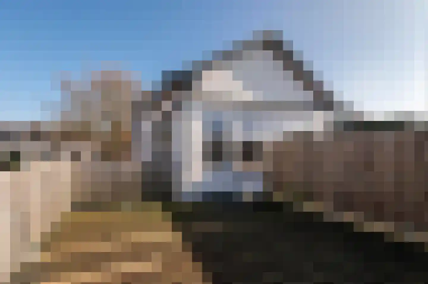Groeneweg 1 Rhenen thumbnail 20