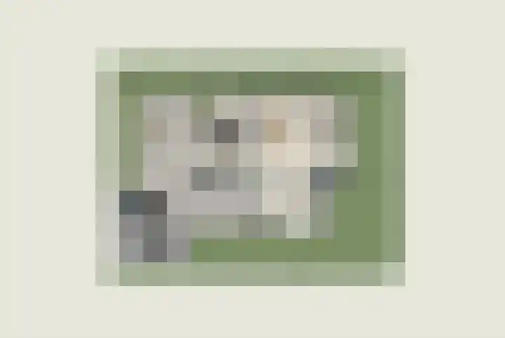 Groeneweg 10 Heiloo thumbnail 8