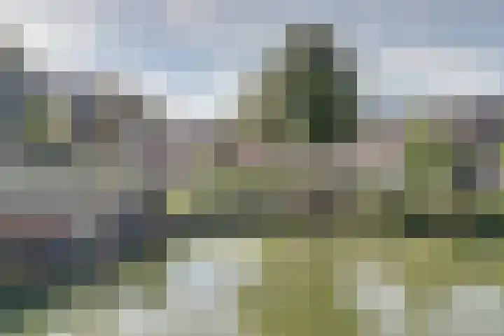 Groeneweg 107 BS Utrecht thumbnail 22