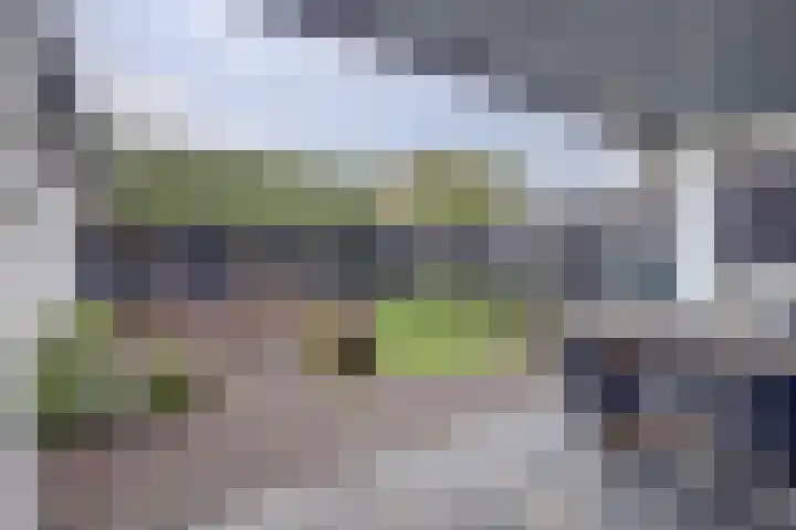 Groeneweg 108 Reusel thumbnail 33